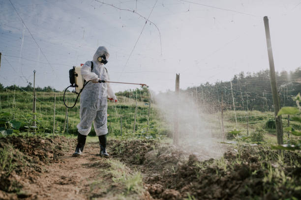 Best Commercial Pest Control Services  in Oro Valley, AZ