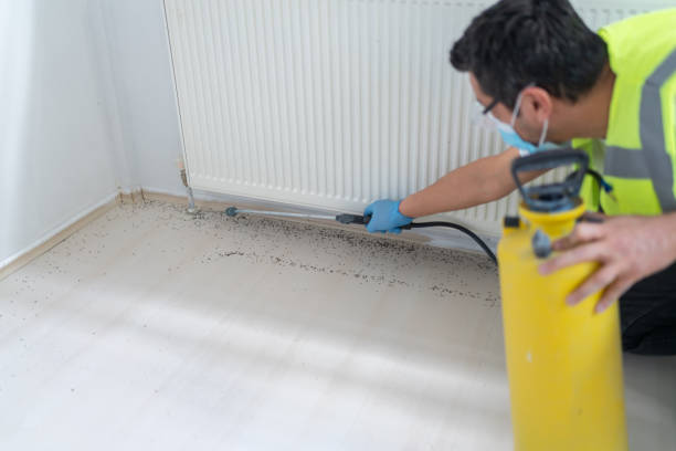 Best Best Pest Control Companies  in Oro Valley, AZ